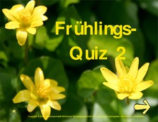 Fruehlingsquiz-2.pdf